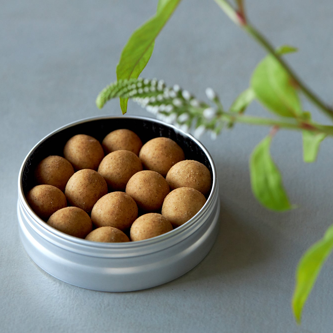 ポルチーニ マカダミアナッツ