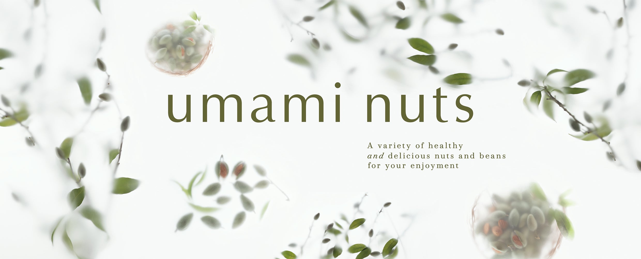 umami nuts