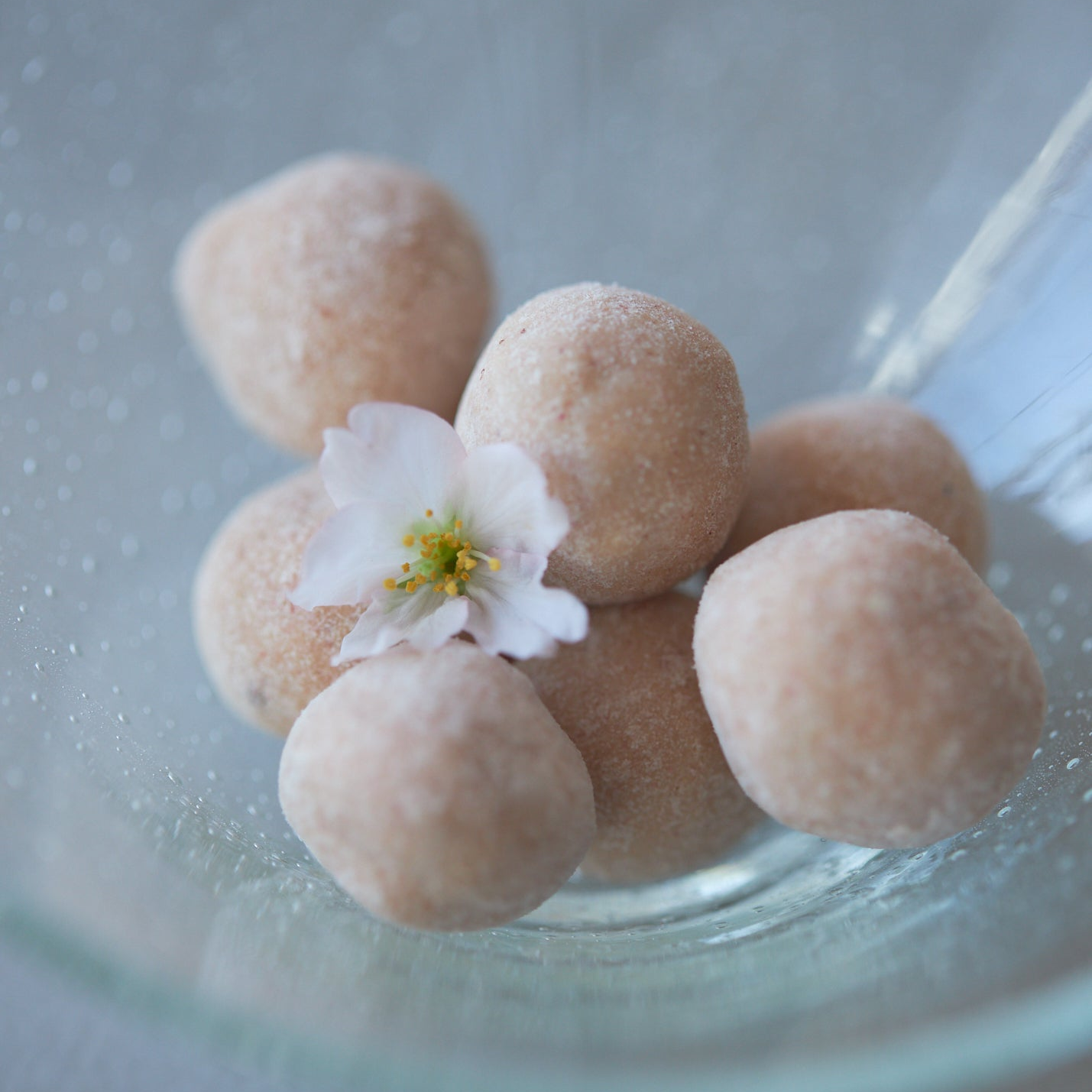 桜花塩漬けマカダミアナッツ