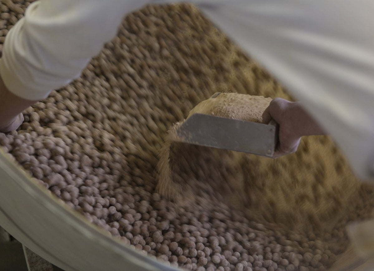回転釜で豆に衣を重ねる粉巻きの工程